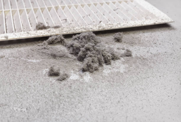 Best HVAC System Cleaning  in Shelbyville, TN